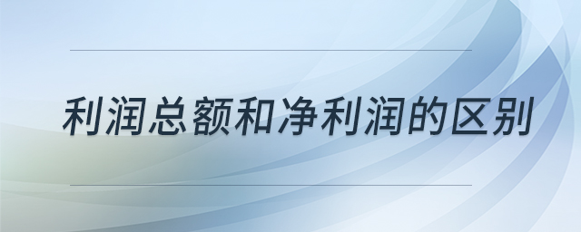 利润总额和净利润的区别 利润总额和净利润的区别