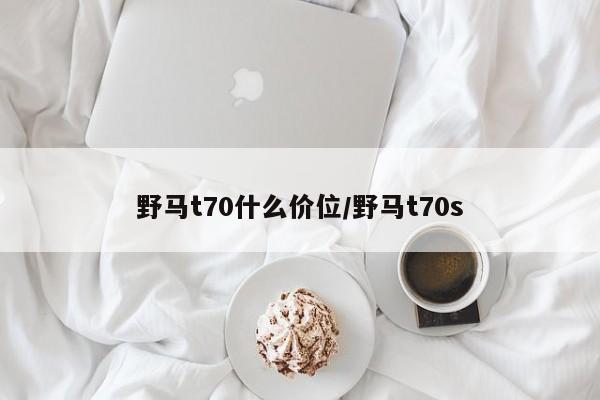 野马t70什么价位/款国产SUV野马t70最新售价