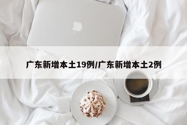 广东新增本土19例/广东新增本土2例