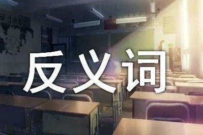 反义词