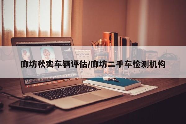 廊坊二手车车辆评估/廊坊二手车检测机构怎么样