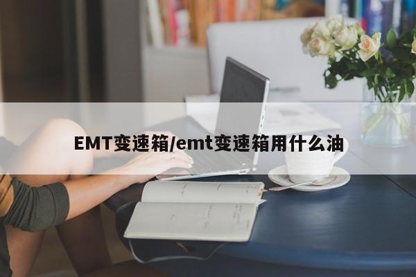 EMT变速箱/emt变速箱用什么油