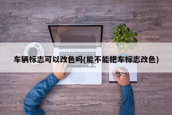车辆标志可以改色吗(能不能把车标志改色)