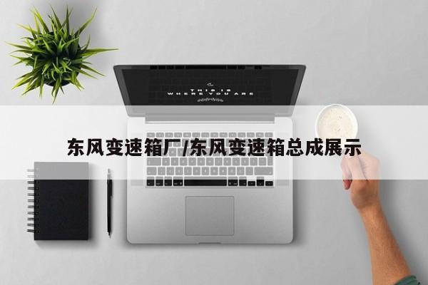 东风变速箱厂/东风变速箱总成展示