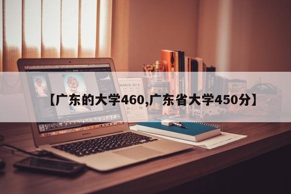 广东的大学460/广东省大学450分