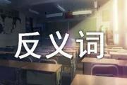 夸奖的反义词